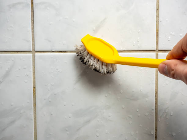 Office Mold Removal Services in Cottonwood, AL